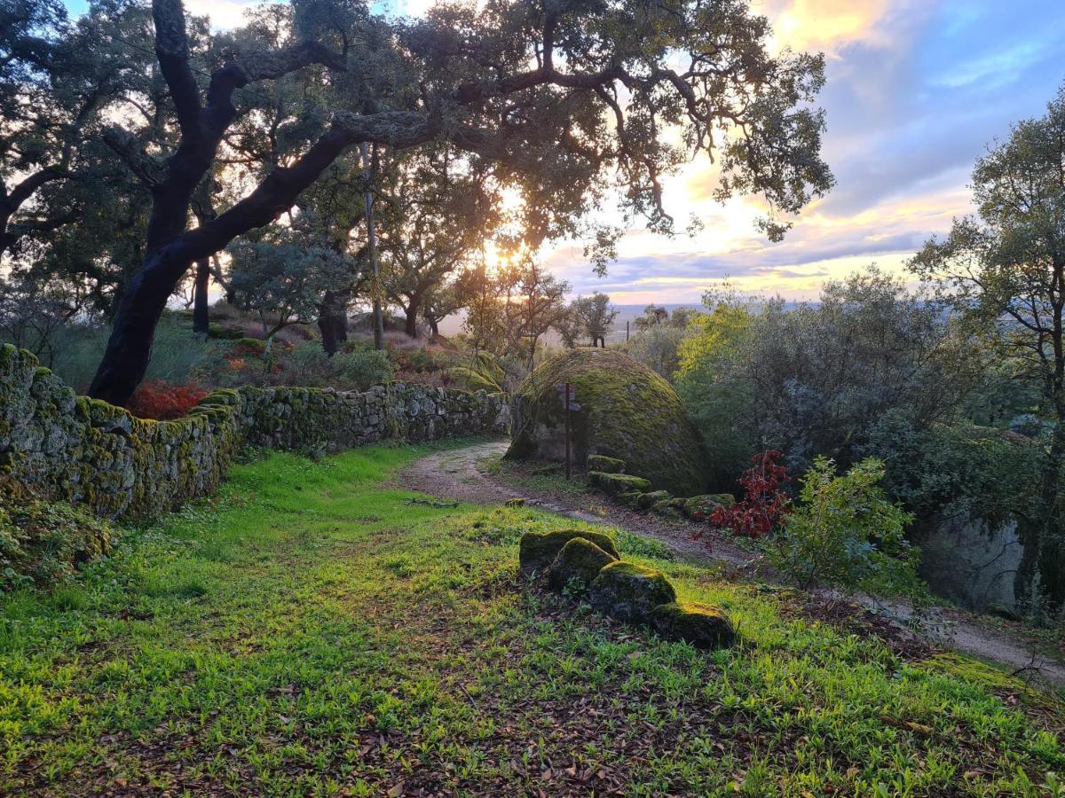 Bed and Breakfast Quinta De Sao Pedro De Vir-A-Corca Em Monsanto Exterior foto